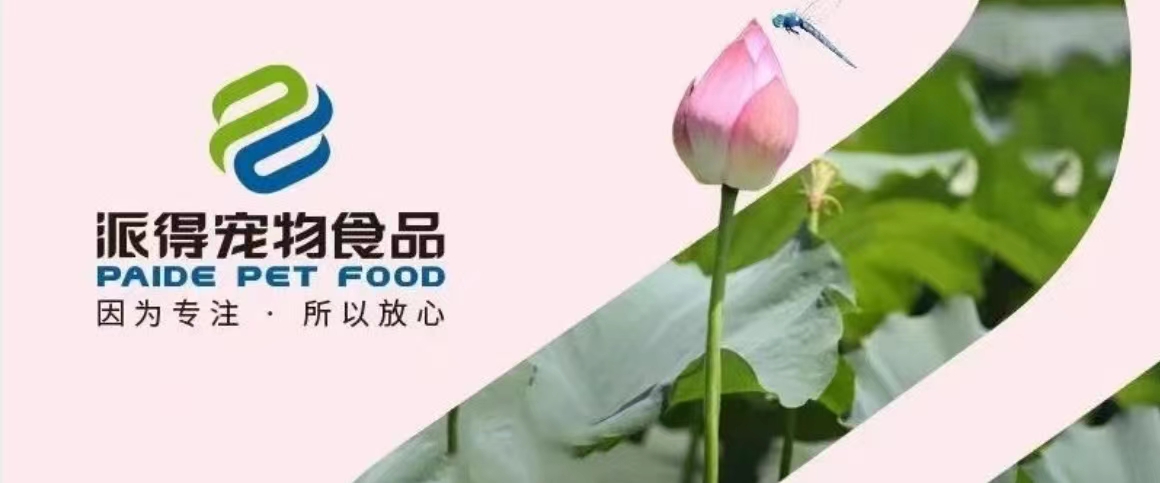 派得寵物